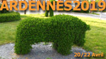 Ardennes 2019