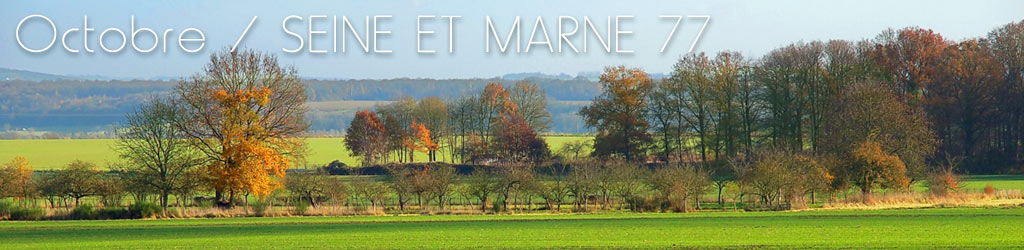 SEINE ET MARNE