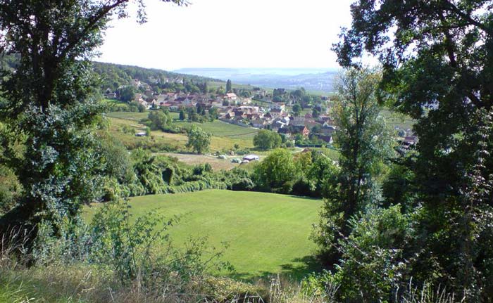 vue 1