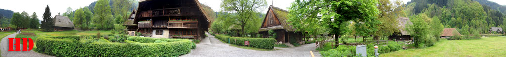 gutach pano 8