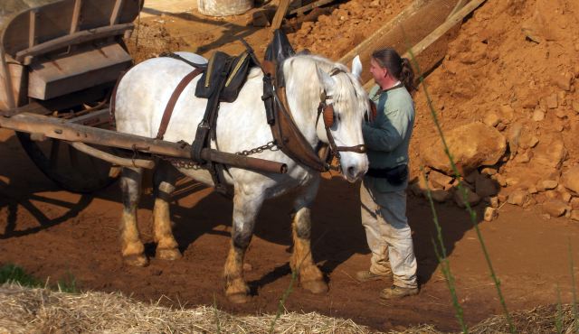 Cheval